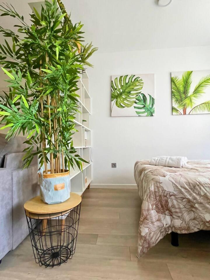 Home4U Apartamento Con Cochera Granada Bagian luar foto